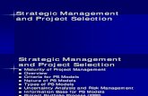 02 Strategy and Proj selection