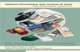 Tobacco Prevention and Control, 10th Annual Report