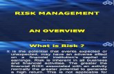 Risk Management 40
