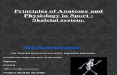Principles of Anatomy and Physiology in Sport