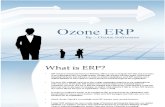 ERP For Engineering industry