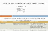 Wasa of Government Employees
