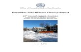 39th District Blizzard Cleanup Report