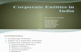 Corporate Entities in India