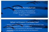 13735217 Project Formulation