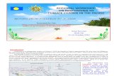 An Overview of National Climate Change Strategies and Priorities in Palau