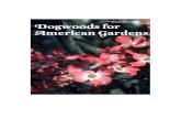 Dogwoods for American Gardens (PB1670)