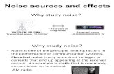 Noise Sources and Effects