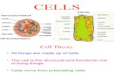 CELLS - PARTS
