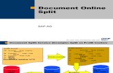 05 Document Online Split
