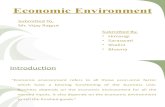 Economic Environment[1]Ppt