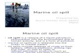 Marine Oil Spill