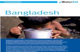Water Aid - Report 2005