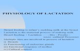 12.Physiology of Lactation