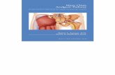 Mayo Clinic Analgesic Pathway Peripheral Nerve Blockade for Major Orthopedic Surgery