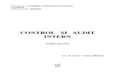 Control Si Audit Intern 2010