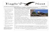 September 2010 Eagle's Nest Newsletter, Kissimmee Valley Audubon Society