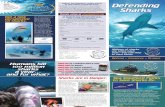 2009 Sea Shepherd Shark Brochure