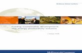 MGI Developing Country Energy Perspective
