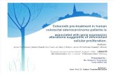 Celecoxib Pre-treatment in Human Colorectal Adenocarcinoma Patients Is_No Cut Ppt