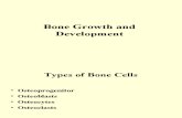 Bone Growth and Development[1]