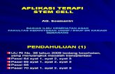 Aplikasi Terapi Stem Cell (25/4/2010)