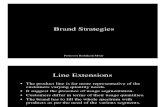 Brand Strategies 2