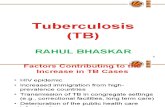 13053_communicable Diseases and Tuberculosis