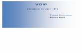 Voip Voice Over Ip594