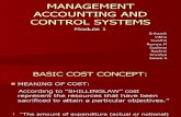Management Accounting and Control Systems