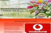 Introduction to Vodafone