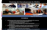 Training & Development in SMEs