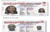 New South Carolina driver's licenses