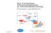 Handbook for Ion Exchange Chromatography