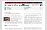 Brussels calling, Belgian EU Presidency, Business Newsletter, 18/10/2010, Issue 5