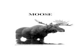 2009 Moose - Pages 211 to 226