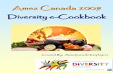 Diversity E-cookbook 2009