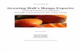 Mali Mangoes Success