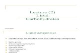 Lecture 2 Cell Biology