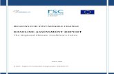 RSC Baseline Assessment Report-1