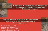 Final FX Risk & Exposure Management