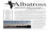 January-February 2010 The Albatross Newsletter ~ Santa Cruz Bird Club