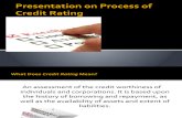 Presentation on Process of Credit Rating (1)
