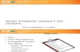 What Essbase Can't Do