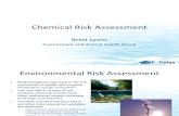Apeg Chemical Risk Assessment 100625063938 Phpapp02