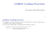 IBM Enterprise COBOL-Format