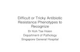 Difficult or Tricky Antibiotic Resistance Phenotypes to Recognize