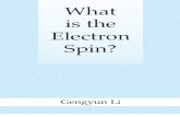 What is the Electron Spin
