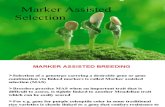 12 Marker-Assisted Selection Lec