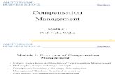 Introduction to Compensation Mgt